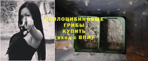 ПСИЛОЦИБИНОВЫЕ ГРИБЫ Алексин