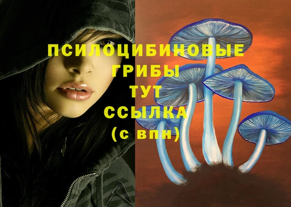 ПСИЛОЦИБИНОВЫЕ ГРИБЫ Абаза