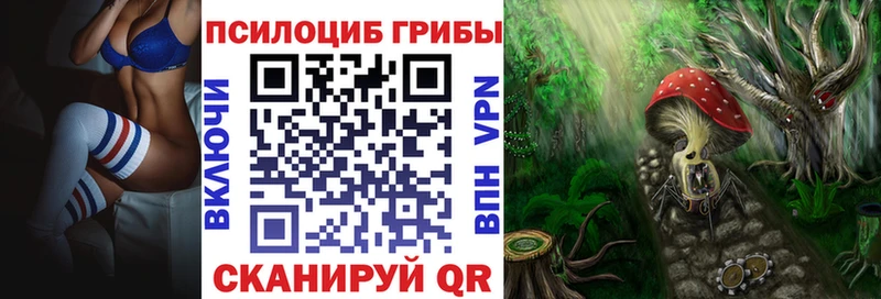 Псилоцибиновые грибы мицелий  Новосибирск 